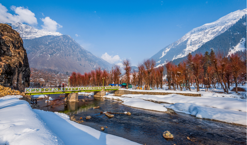 MANALI 3N/ 4D