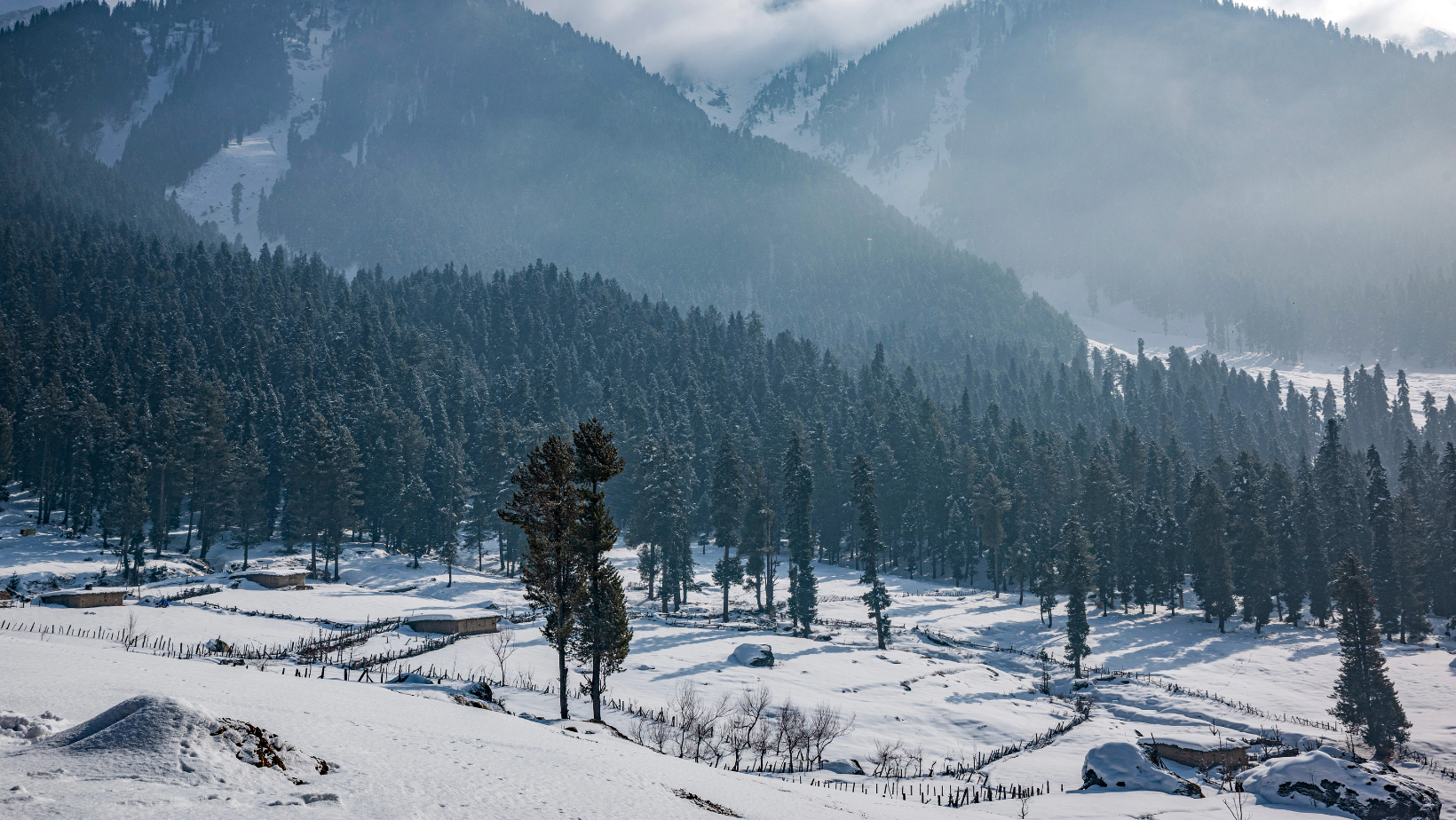 gangtok, darjeeling tour under 50k budget package